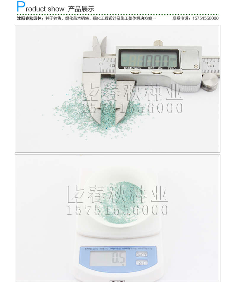 剪股穎(包衣)種子銷售參考價格