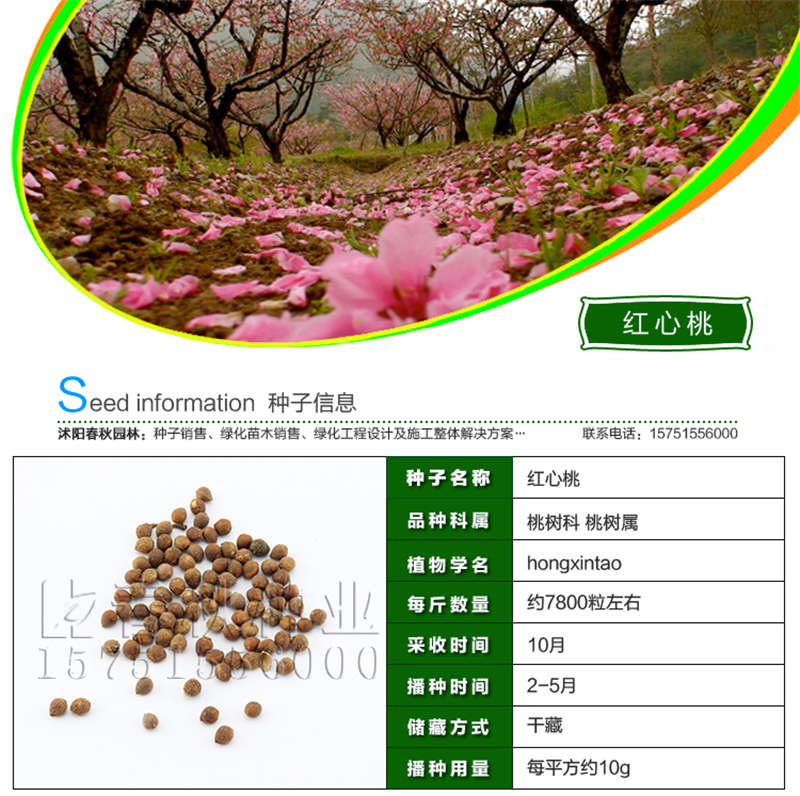 紅心桃種子基本信息
