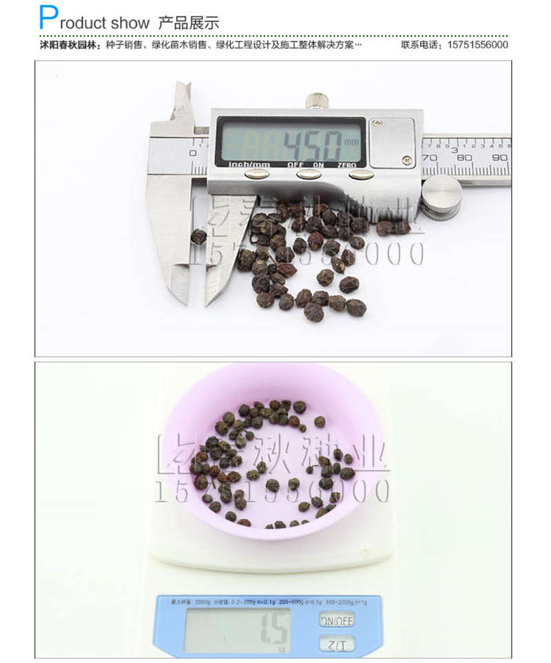 紅葉石楠種子銷售參考價格