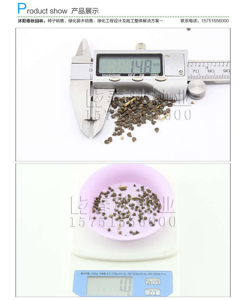 茼麻種子銷售參考價格